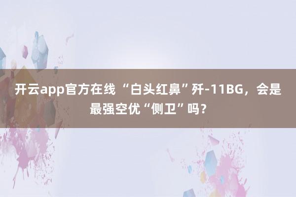 开云app官方在线 “白头红鼻”歼-11BG，会是最强空优“侧卫”吗？