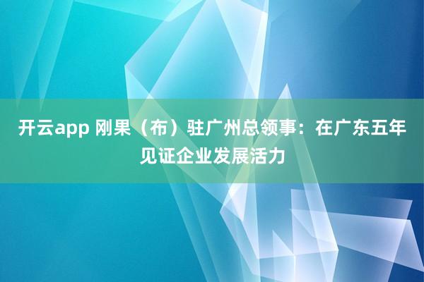开云app 刚果(布)驻广州总领事:在广东五年见证企业发展活力