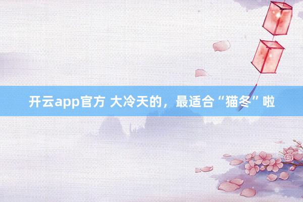 开云app官方 大冷天的,最适合“猫冬”啦