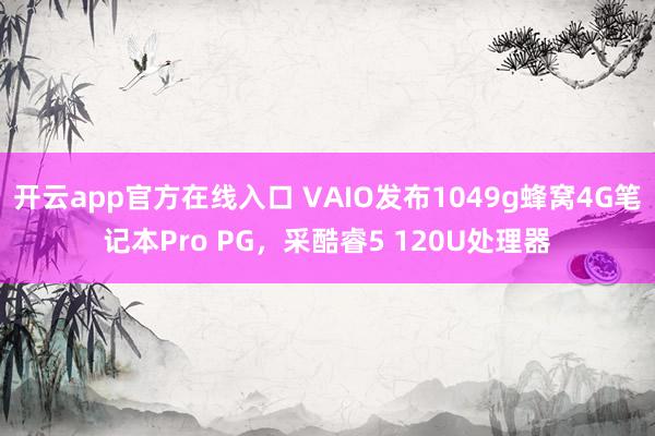 开云app官方在线入口 VAIO发布1049g蜂窝4G笔记本Pro PG，采酷睿5 120U处理器