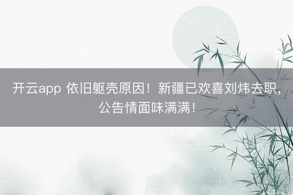 开云app 依旧躯壳原因！新疆已欢喜刘炜去职，公告情面味满满！